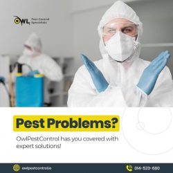 Pest Control Company Dublin: Effective Solutions Today