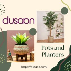 Shop Stylish Pots for Plants Online | Dusaan’s Elegant Collection