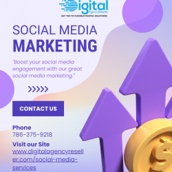 Elevate Your Brand with Digital Agency Reseller: Expert Social Media Marketing