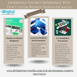 Web Design and Development Packages For Businesses