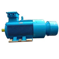 Slip Ring Induction Motor