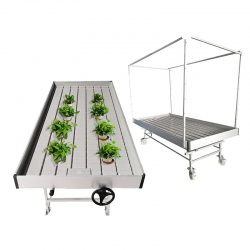 Embrace the power of growth with Grow Tables!