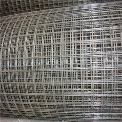 Welded Wire Mesh