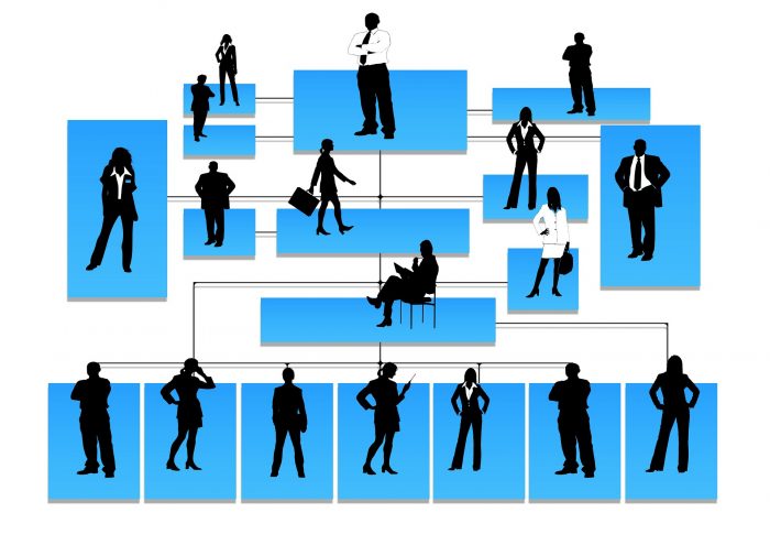 Org Chart Sysco: Detailed Insights into the Company’s Account