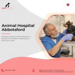 Our Animal Hospital Abbotsford offers the best services In Abbotsford