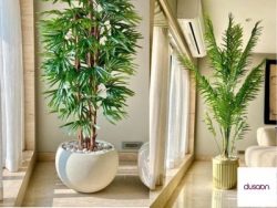 Buy Premium Artificial Plants Online | Dusaan