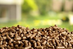 Benefits of Using Flat Die Wood Pellet Mills for Biomass Production