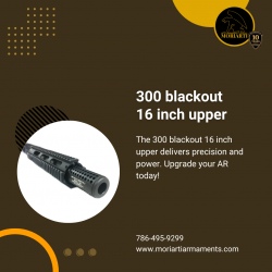 Unleash the Potential of the 300 Blackout 16-Inch Upper