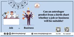 Can an astrologer predict from a birth chart whether a job or business will be suitable