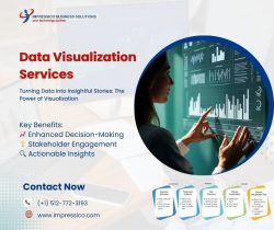 Discover the Power of Data Visualization Services