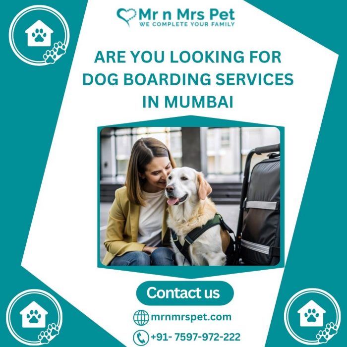 Best Dog Boarding Services in Mumbai