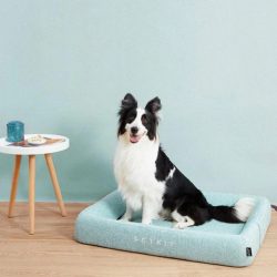 Get Premium Dog Bed Online for Your Furry Friend