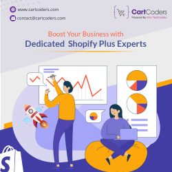 Boost Your Business with Shopify Plus Developer