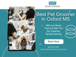 Best Pet Groomer in Oxford, MS