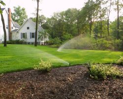 Landscaping North Rocks: Affordable Solutions for Every Budget