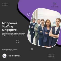 Manpower Staffing Singapore will manage your event in the most professional way