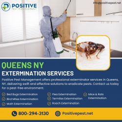 Trusted Exterminator in Queens Ny