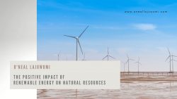 O’neal Lajuwomi: The Positive Impact of Renewable Energy on Natural Resources