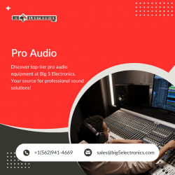 Experience Excellence in Pro Audio Solutions with Big 5 Electronics.