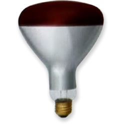 R40/R125 Hard Glass IR Lamp Red Paint