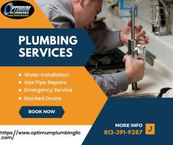 Residential plumbing services land o lakes Florida