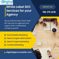 Top White Label SEO Agency – Digital Agency Reseller