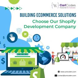 Build Your eCommerce Success with Our Shopify Development Company