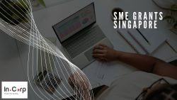 Maximize Your Business Growth with SME Grants in Singapore