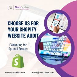 Top-rated Shopify Website Audit Services by CartCoders