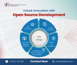 Unlock Innovation with Open Source Development!