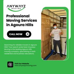 Expert Moving Solutions in Agoura Hills