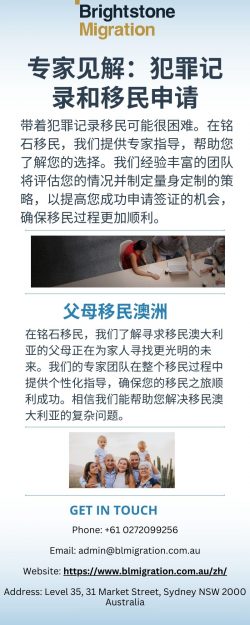 专家见解：犯罪记录和移民申请