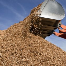 The Wood Pellet Press Machine: A Sustainable Energy Workhorse