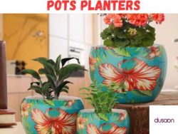 Stylish Pots and Planters for Beautiful Indoor and Outdoor Spaces