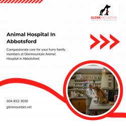 Our staff is trained in Animal Hospital In Abbotsford