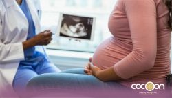 Importance of Antenatal Care-Cocoon Hospital