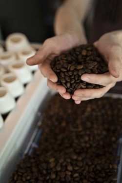 Premium Robusta Coffee Beans Supplier – Savanna Lands Trading