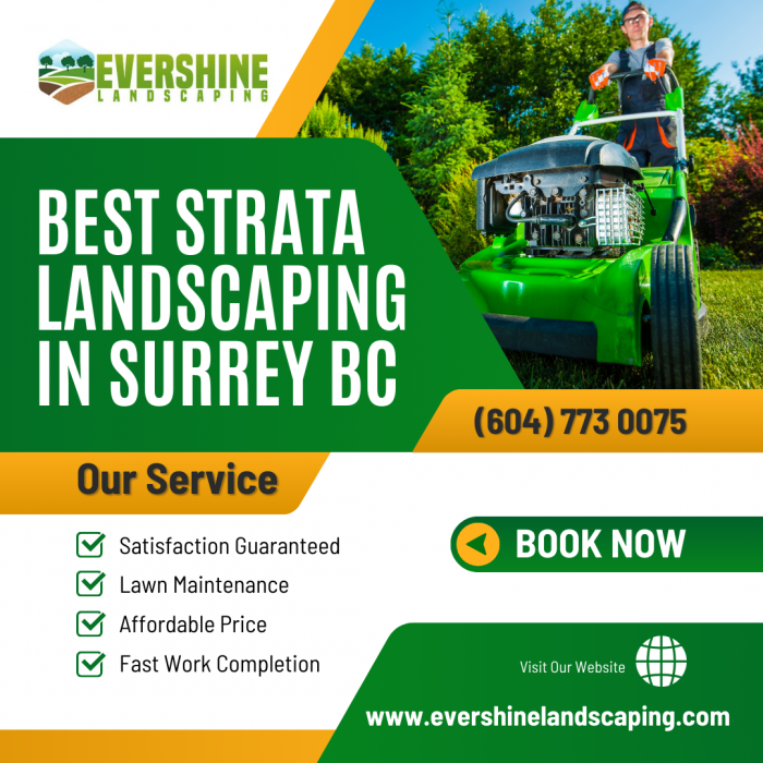 Best Strata Landscaping in Surrey BC