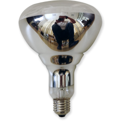 BR125 Heating Lamp