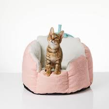 Premium Quality cat bed At The Best Price