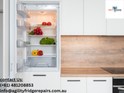 Fridge Repairs Eastern Suburbs: Professional Repair Services