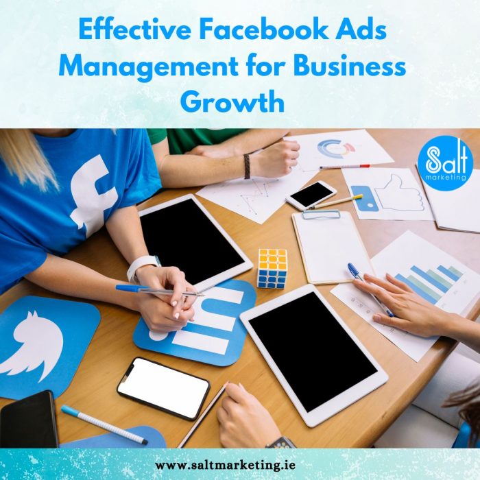 Maximize ROI with Facebook Ads Management