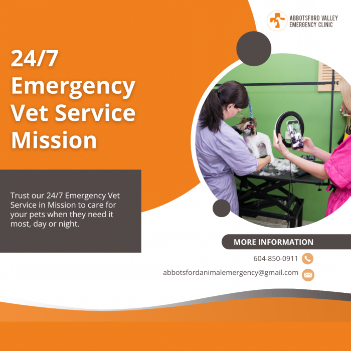 Round-the-Clock 24/7 Emergency Vet Service in Mission