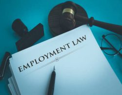 Employment Labor Compliance