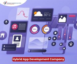 Empowering Your Vision: Custom Hybrid App Development