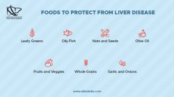 Foods to Help Your Liver Stay Healthy