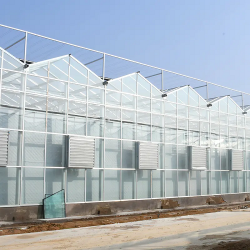 Glass Greenhouse