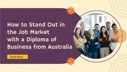 How to Stand Out in the Job Market with a Diploma of Business from Australia