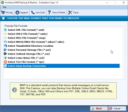 ViceVersa IMAP Backup and Restore Software