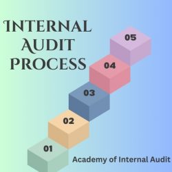 Learn Internal Audit Process from Academy of Internal Audit